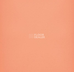 Линолеум Forbo Eternal Colour 40242 pink coral фото 1 | FLOORDEALER
